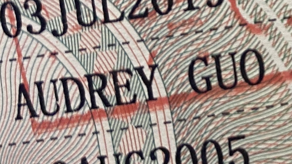 my visa